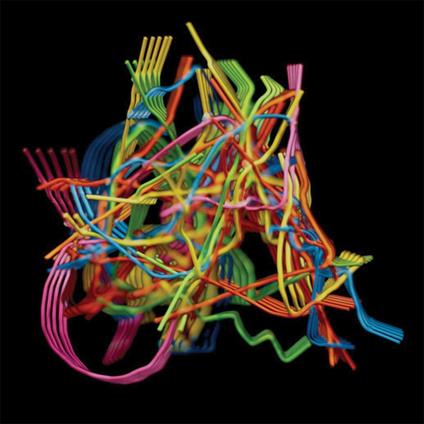 Perpetual Morphosis - CD Audio di Dustin Wong