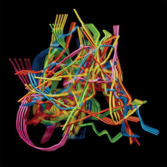 Perpetual Morphosis - CD Audio di Dustin Wong