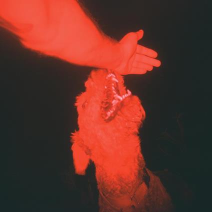 A Trick Of The Light - Vinile LP di Eli Winter