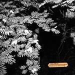 Violence in the Snowy Fields - CD Audio di Dolorean