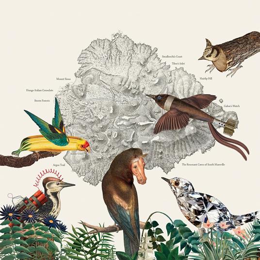 Birds Of Marsville - Vinile LP di Friendly Rich