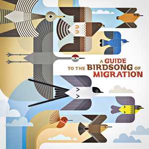 CD A Guide To The Birdsong Of Migration 