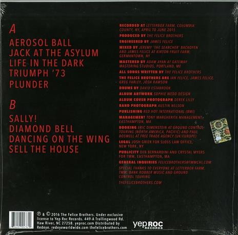 Life in the Dark - Vinile LP di Felice Brothers - 2