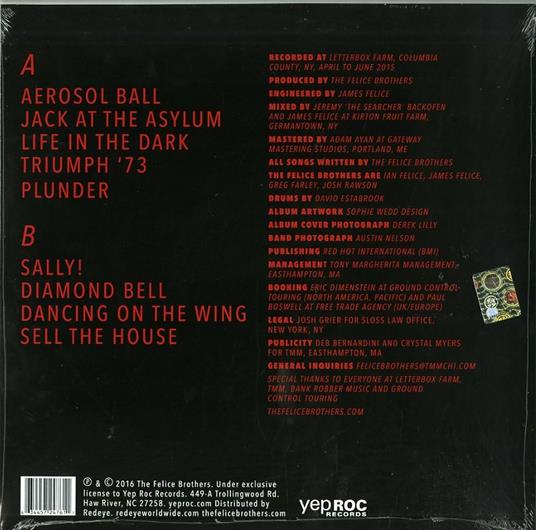 Life in the Dark - Vinile LP di Felice Brothers - 2