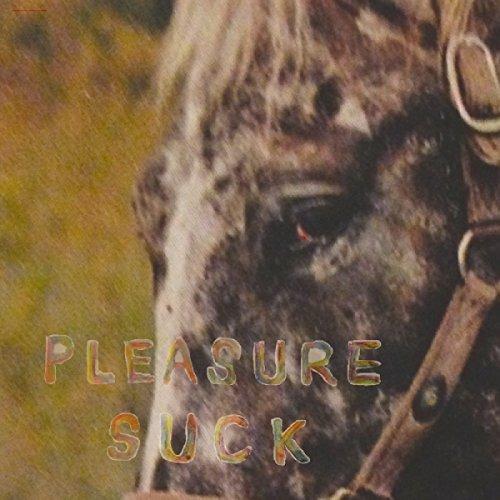 Pleasure Suck - CD Audio di Spirit of the Beehive