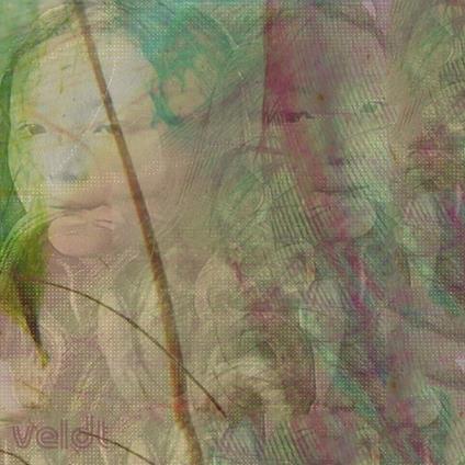 Symmetry / Slowdown - Vinile 7'' di Veldt