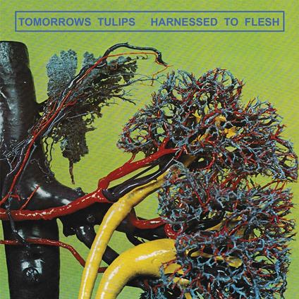 Harnessed to Flesh - CD Audio di Tomorrow Tulips