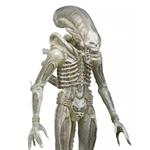 Aliens Series 7 1979 Translucent Xenomorph Action Figure