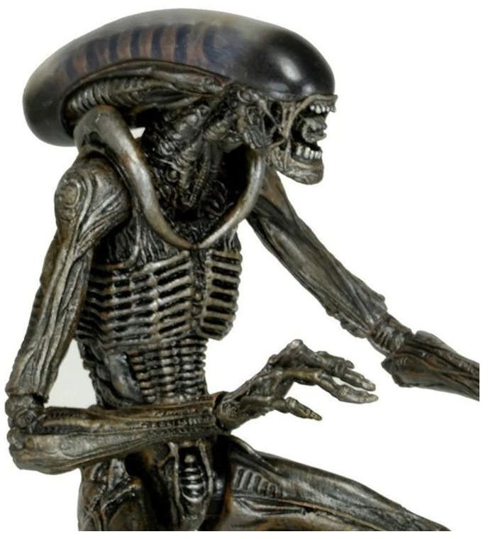 ACS Anime Caffè Store