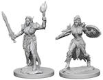 Pathfinder Dcum Elf Female Fighter