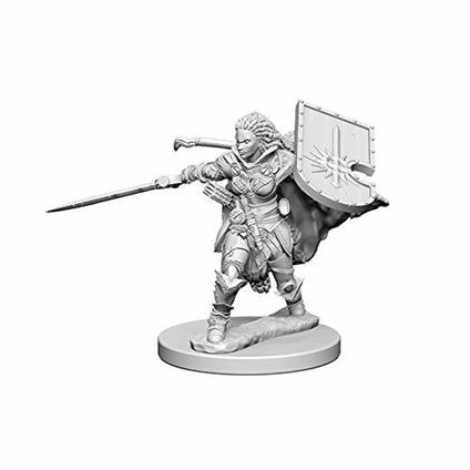 Pathfinder. Deep Cuts Miniatures. Human Female Paladin