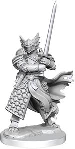 Dungeons & Dragons Frameworks Miniature Model Kit Dragonborn Paladin Male