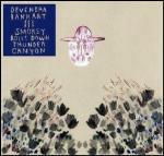 Smokey Rolls Down Thunder Canyon - CD Audio di Devendra Banhart