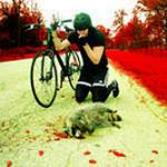 The Denial Twist - CD Audio Singolo di White Stripes