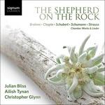 Shepherd On The Rock - CD Audio di Julian Bliss