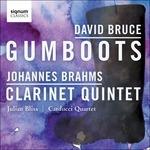 Gumboots. Clarinet Quintet - CD Audio di Julian Bliss