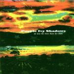 No Less the Trees Than the Stars - CD Audio di Purple Ivy Shadows