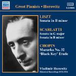 Sonata in Si minore / Sonate per pianoforte / Mazurke n.27, n.32 - Studi op.10 n.4, n.5