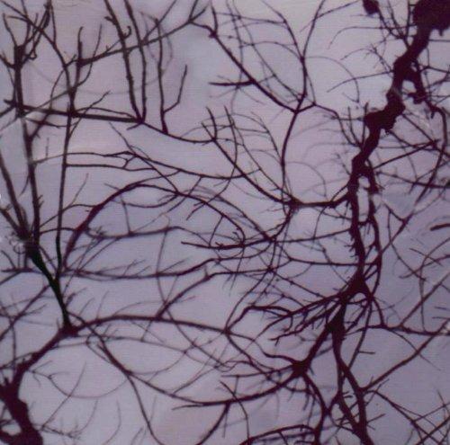 Between Two Seconds - CD Audio di Joe Turner