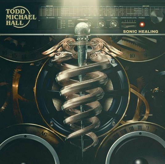 Sonic Healing - Vinile LP di Todd Michael Hall