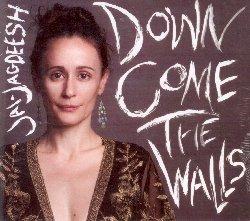 Down Come the Walls - CD Audio di Jai-Jagdeesh