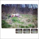 Rumspringa (Digipack)