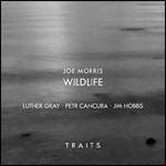 Wildlife - CD Audio di Joe Morris