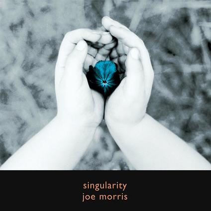 Singularity - CD Audio di Joe Morris
