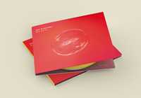 CD Big Bang Joe Barbieri