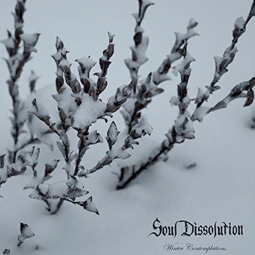 Winter Contemplations (Crystal Clear Vinyl) - Vinile LP di Soul Dissolution