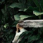 Everything Feels Better - CD Audio di From Indian Lakes