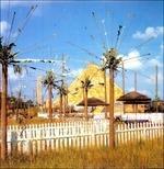 Technical Virginity - Vinile LP di Satanized