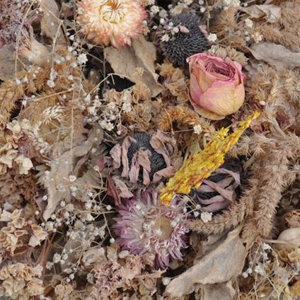 Cold Air - Vinile LP di Drowse