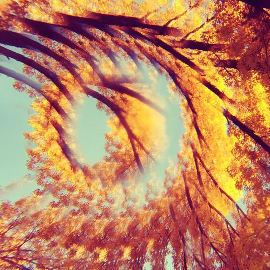 Forest Bathing - CD Audio di A Hawk and a Hacksaw