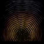 New Ocean - CD Audio di Jake Bellows