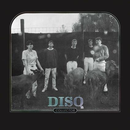 Collector - CD Audio di Disq