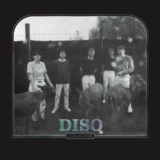 Collector - CD Audio di Disq