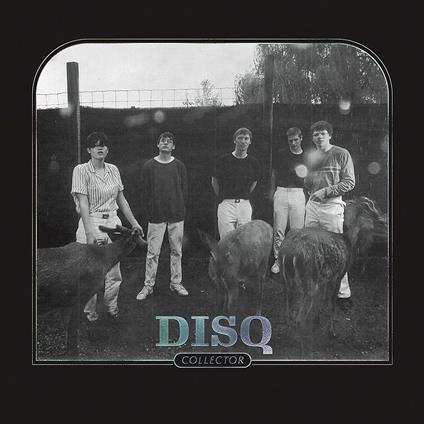 Collector - Vinile LP di Disq