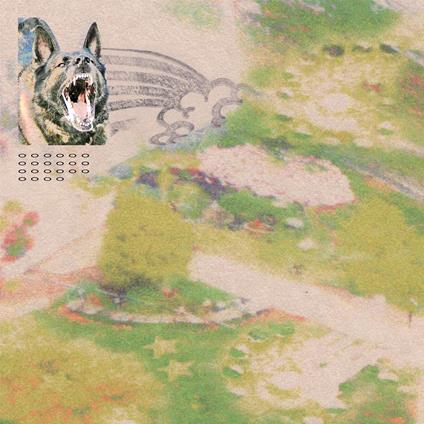 Girl With Fish - CD Audio di Feeble Little Horse
