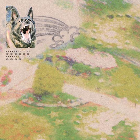Girl With Fish - CD Audio di Feeble Little Horse