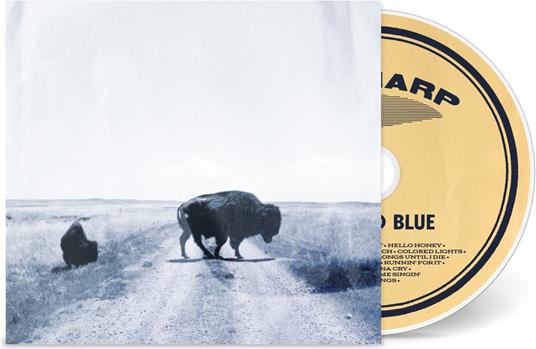 Runs To Blue - CD Audio di Big Harp