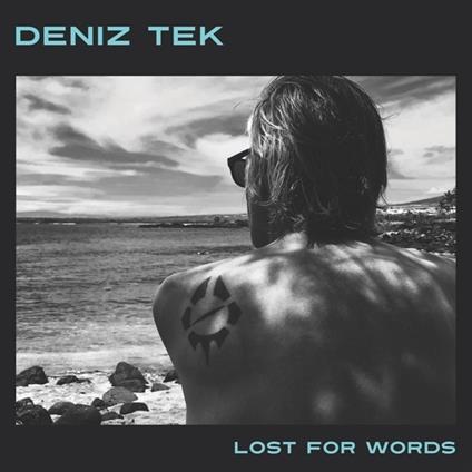 Lost for Words - Vinile LP di Deniz Tek