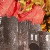 Microcastle - Vinile LP di Deerhunter