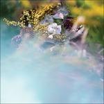 Sum-One - CD Audio di Beedeegee