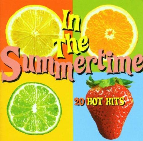 In The Summertime - CD Audio