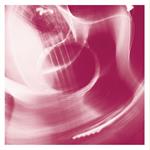 VDSQ Solo Acoustic vol.14