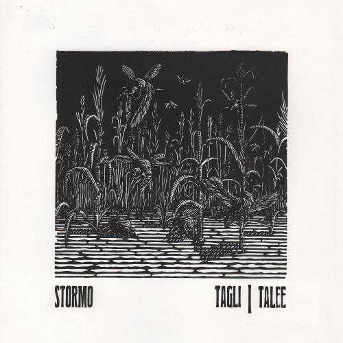 Tagli-Talee - Vinile LP di Stormo