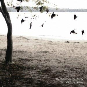 There's No Leaving Now - CD Audio di Tallest Man on Earth
