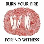 Burn Your Fire for no Witness