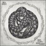 Vinile When the Fire Is Dead Wolf People